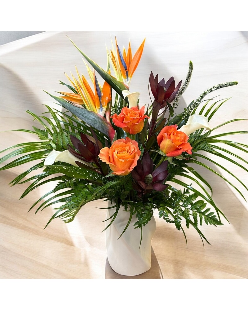 Tropic Twist in Naples FL - Driftwood Garden Center & Florist