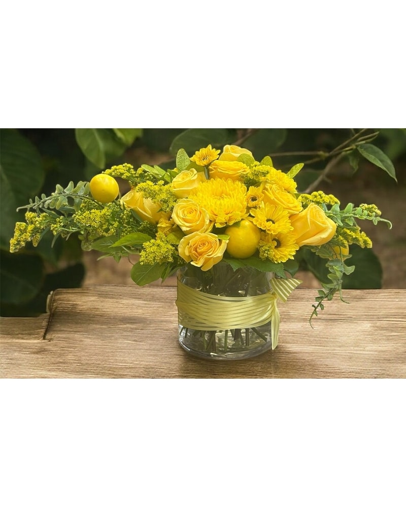 フラワー・ガーデニング lemon Limón in Miami, FL | Avant Gardens