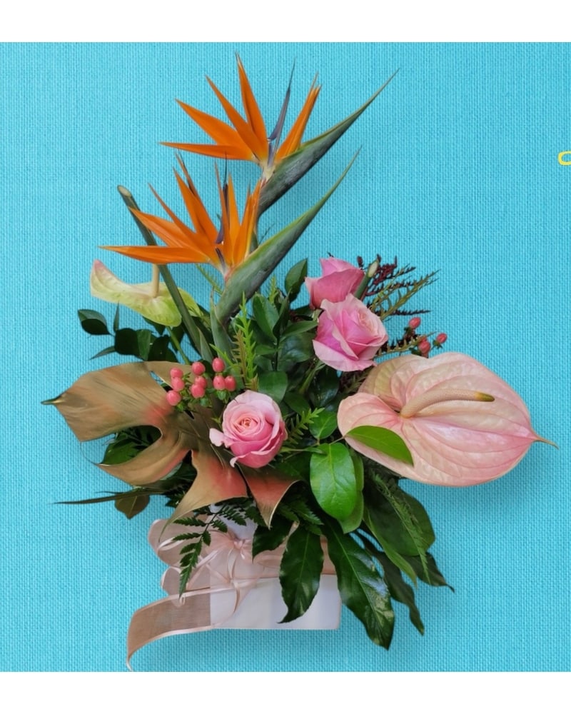 Golden Grace in Naples FL - Driftwood Garden Center & Florist