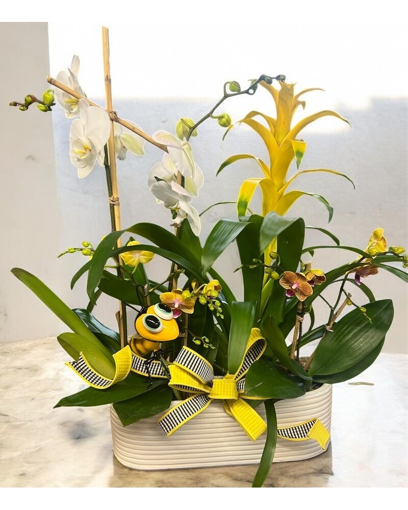 Bee Good to Mom in Naples FL - Driftwood Garden Center & Florist