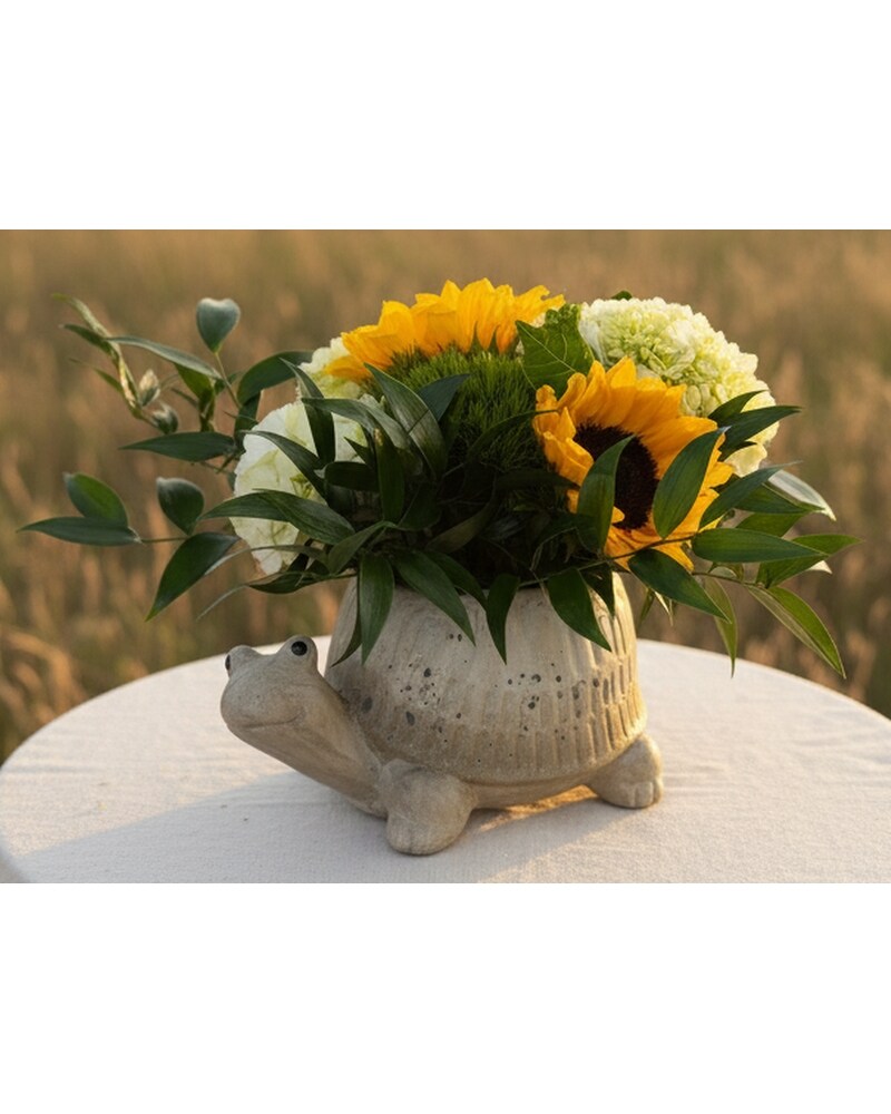 Hot Turtle Summer in Naples FL - Driftwood Garden Center & Florist
