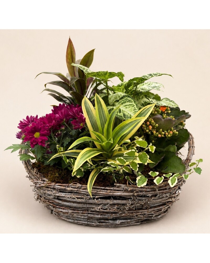 Driftwood Exclusives! Delivery Naples FL - Driftwood Garden Center