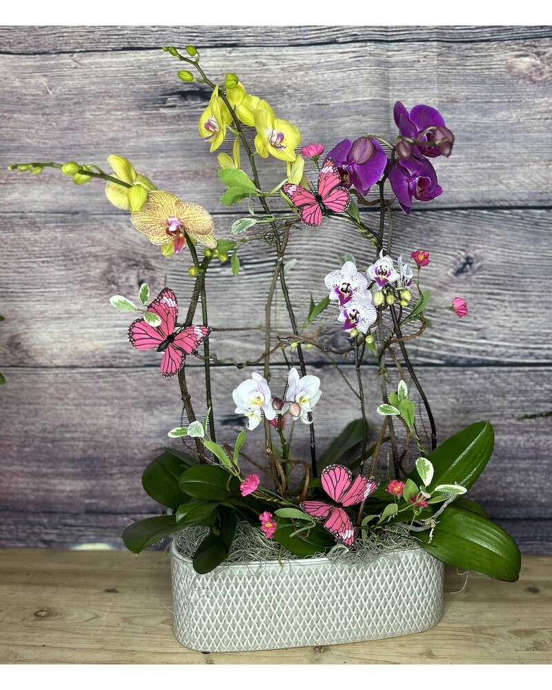 フラワートピアリー fit=scale-down,w=1200