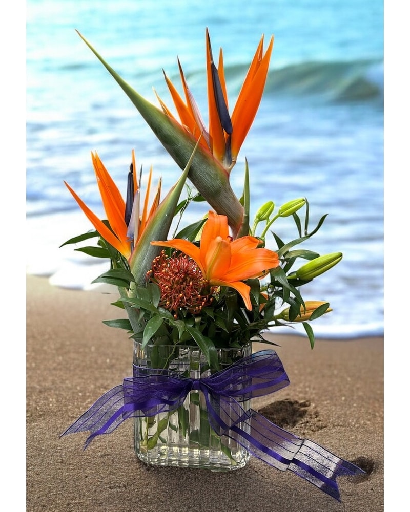 Love Birds in Naples FL - Driftwood Garden Center & Florist