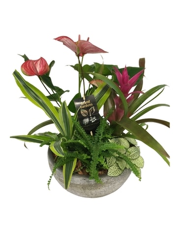 Tropical Beauty Flower Arrangement