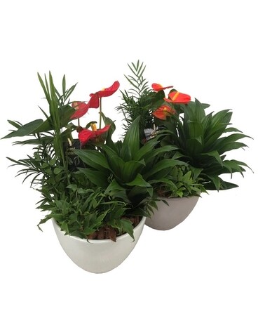 A Trip to the Tropics Flower Arrangement