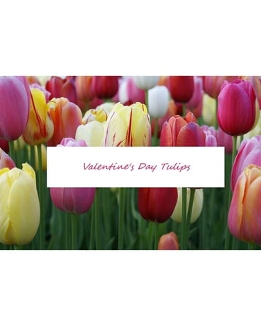 Designer Choice Tulips Flower Arrangement