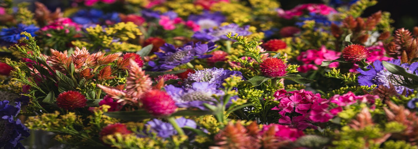 Brighten Up Their Day