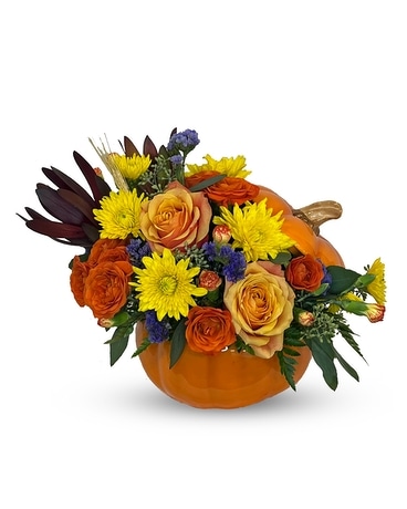 Pumpkin Spice & Everything Nice - BFS-836 Flower Arrangement
