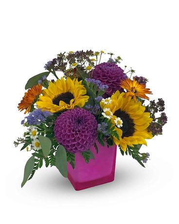 Sun Flair - BFS-543 Flower Arrangement