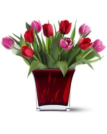 Teleflora's Tulips of Love Bouquet Flower Arrangement