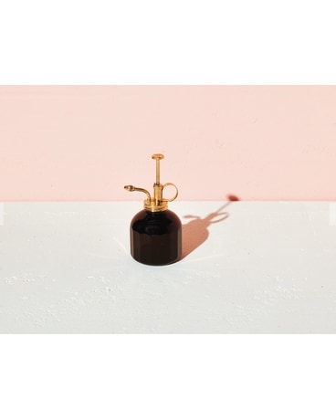 Black Glass & Brass Mister Gifts
