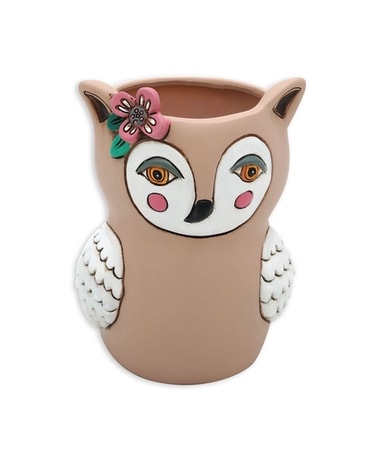 Sweet Owl Planter Gifts