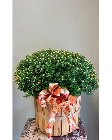 Fall Mum Flower Arrangement