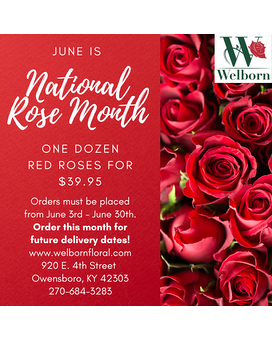Rose Special