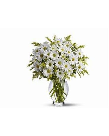 Teleflora's Daisy Days Custom product