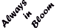 Always In Bloom, Inc. - Logo