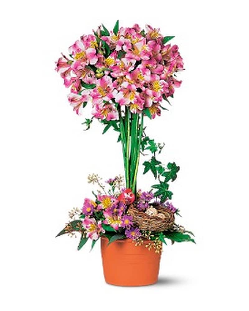 Alstroemeria Topiary in Saginaw MI - Hank's Flowerland