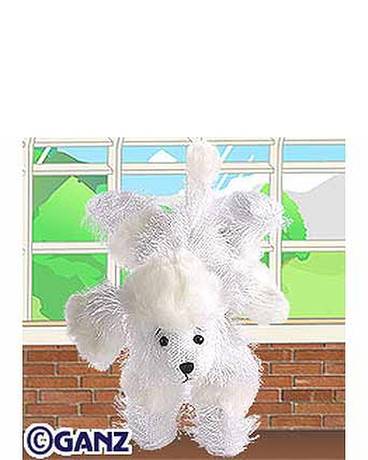 White Poodle Custom product