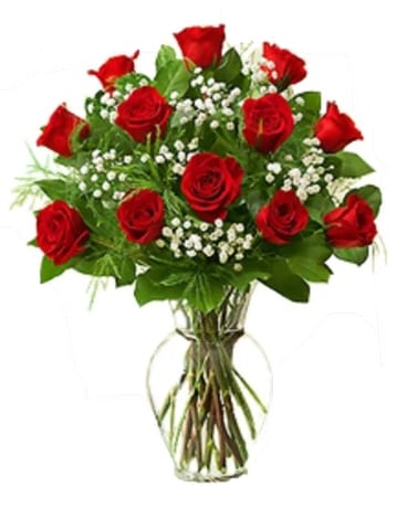 Premium Long-Stemmed Roses