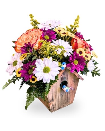 Garden Haven in Dayville CT - The Sunshine Shop