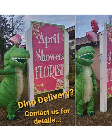 DINO DELIVERY Gifts
