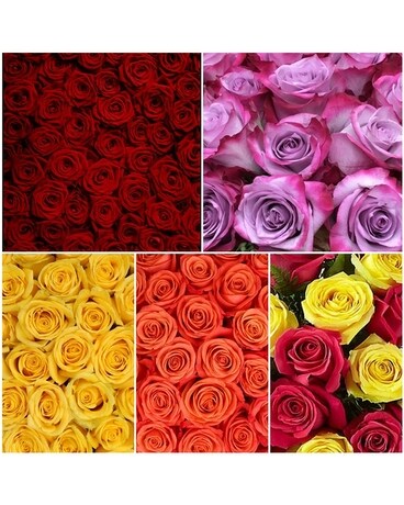 1 dozen Roses Flower Arrangement