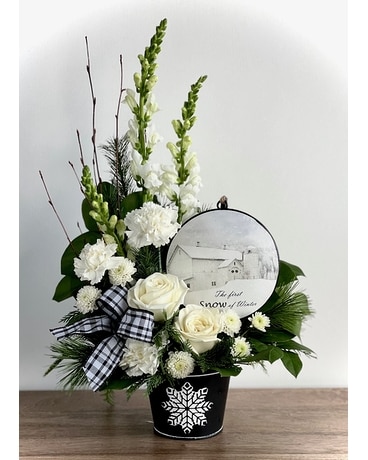 Snow Country by Krueger Floral Flower Arrangement