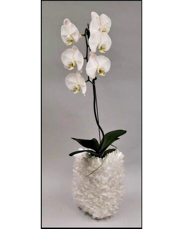 Kathryn McCoy  Grayson Vase in Selenite Custom product