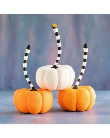 Glitterville Orange & Cream Large Pumpkins- 3 Custom product
