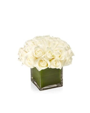 White Rose Cubed Flower Arrangement