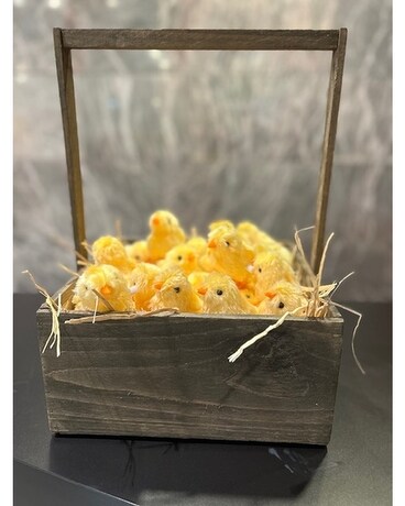 Fuzzy Wind Up Hoppy Chicks Gifts
