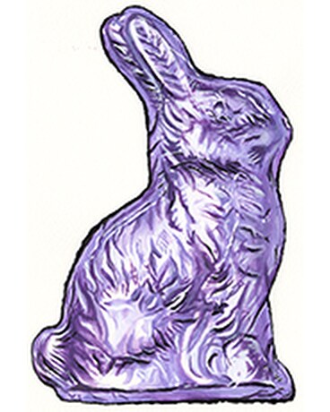 Frans Dark Chocolate Bunny Flower Arrangement