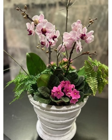 Jonathan’s European Garden Flower Arrangement