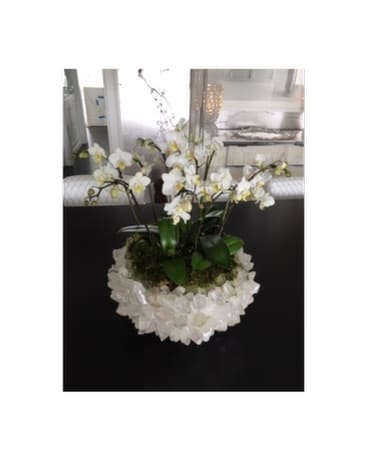 CLASSIC QUARTZ CRYSTAL ORCHID BOWL Flower Arrangement