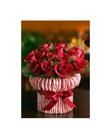 Candy Cane Joy Bouquet Dans Bellevue Wa City Flowers Inc