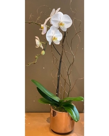 White orchid Flower Arrangement