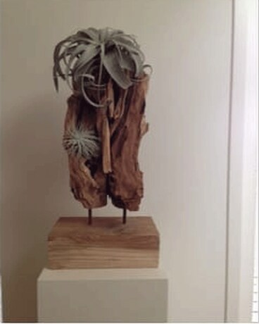 MODERN AIR PLANT DISPLAY Flower Arrangement