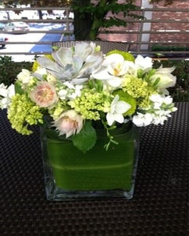 FABULOUS WHITE AND GREEN Flower Arrangement