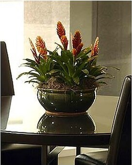 As Shown size,  inches height and  inches wide.