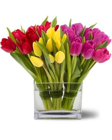 Tulip Trio Flower Arrangement
