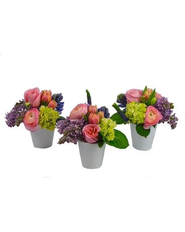 Springtide Trio Flower Arrangement