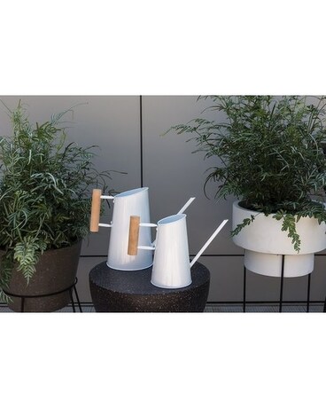 Preston Watering Can Gifts