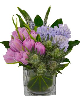 Standard size, 10 inches height and 7.5 inches wide.