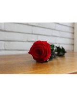 ☆Roses～　 Forever Yours Single Rose in Stamford CT - Stamford Florist