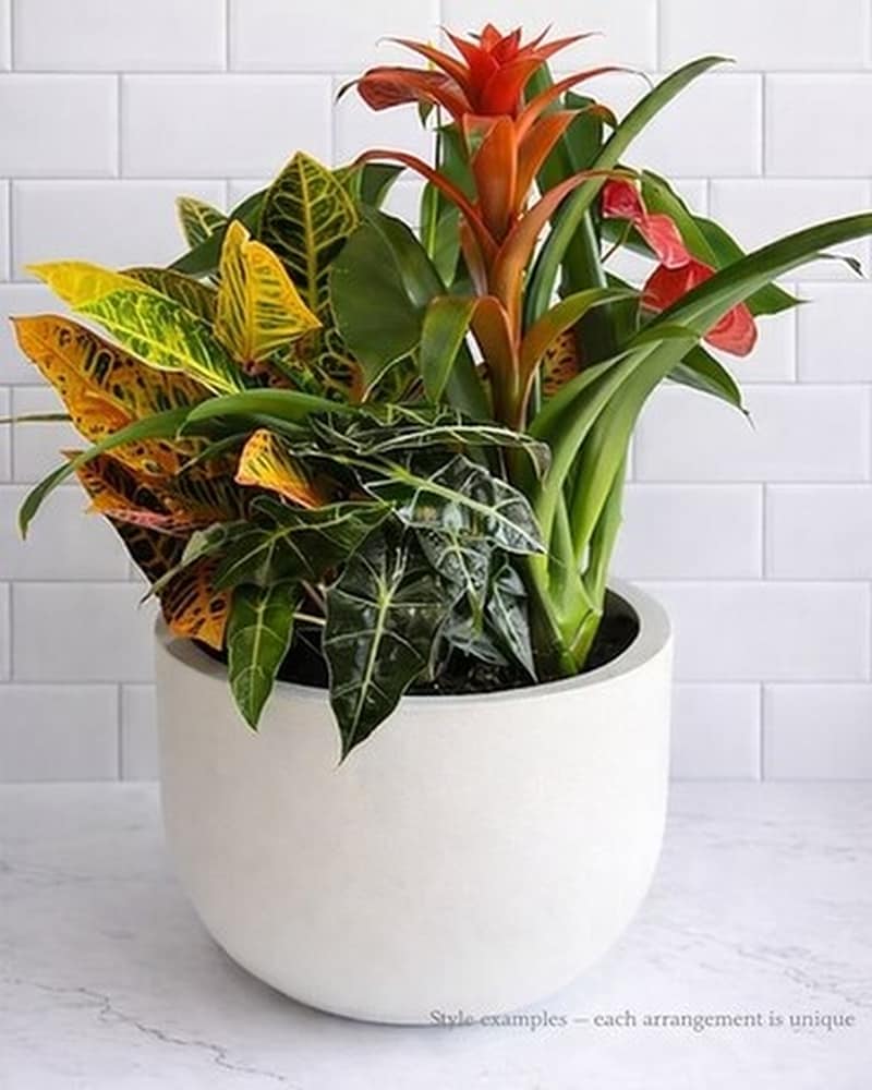 Designer's Choice - Garden Edit in Stamford CT - Stamford Florist