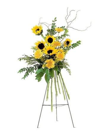 Shining Sentiments Spray Flower Arrangement