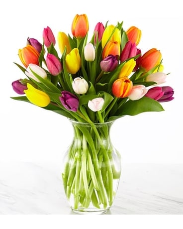 Colorful Tulips Flower Arrangement