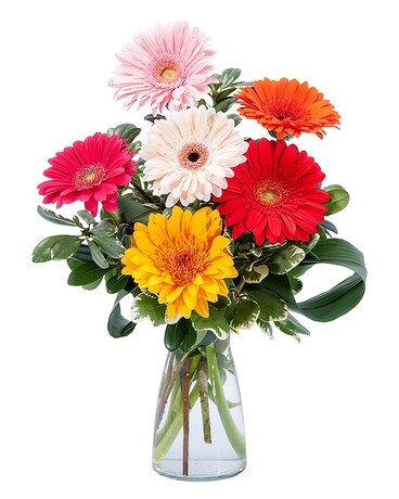 East Norwich - East Norwich Cheery Flower Arrangement