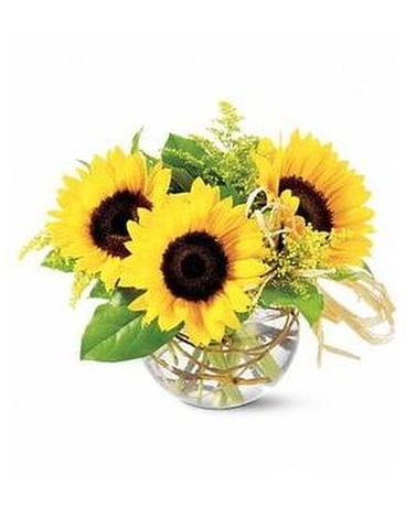 Teleflora's Sassy Sunflowers Custom product